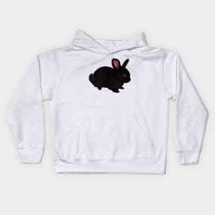 bunny rabbit - cute  ebony  dwarf mini lop bunny rabbit Kids Hoodie